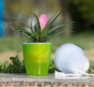 Self-Watering Planter for Green Plants and Succulents
