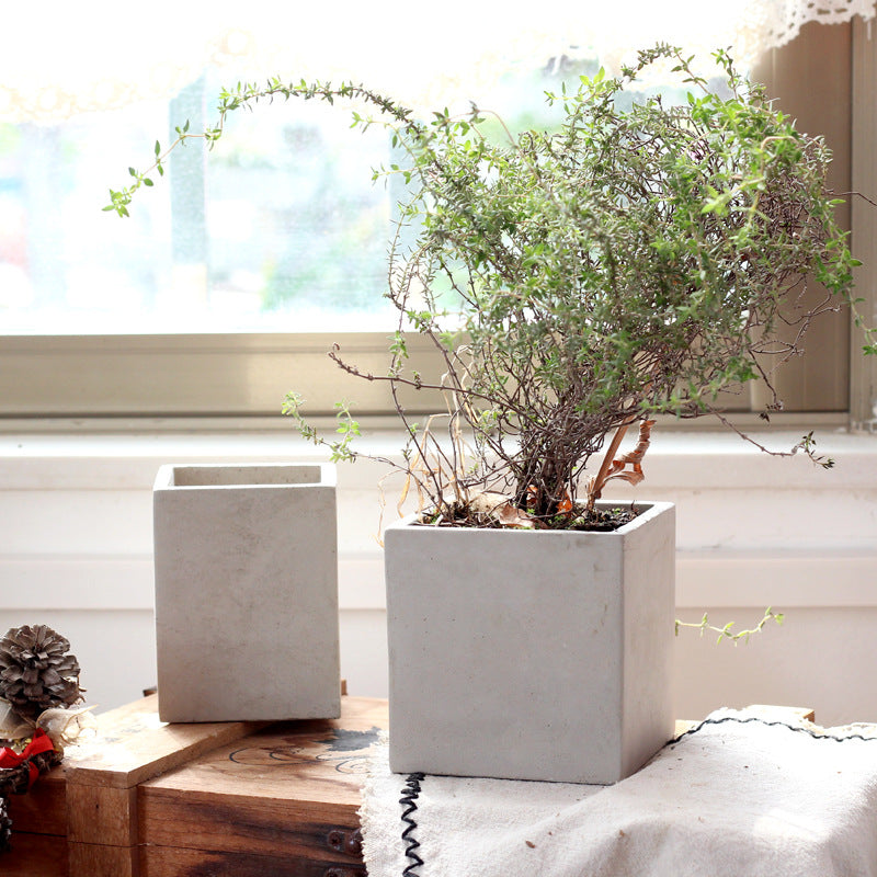Creative Square Cement Planter for Succulents and Cacti