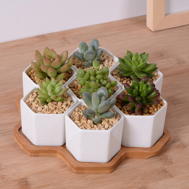 White Ceramic Hexagonal Succulent Planter Set (4 pcs)
