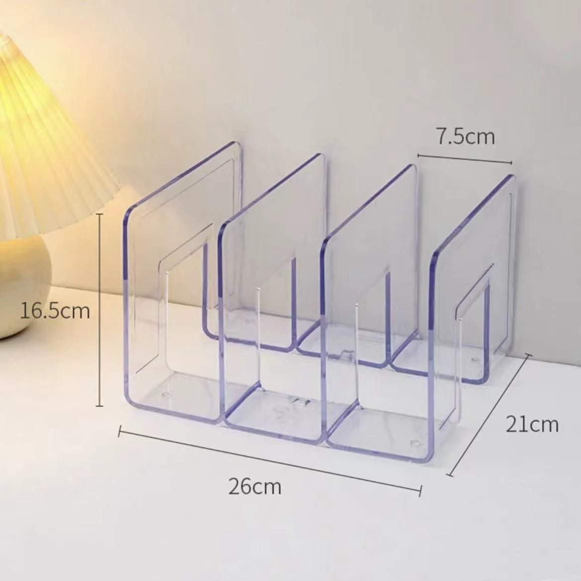 Compact Storage Organizer for Closet and Bedroom Bags