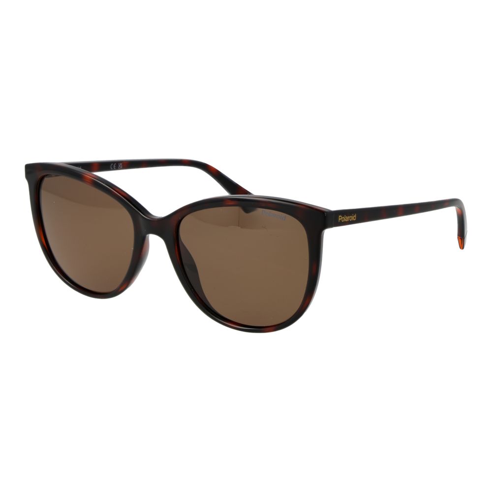Polaroid Brown Plastic Sunglasses