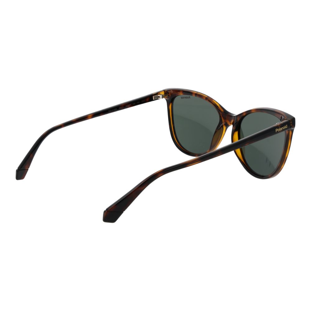 Polaroid Brown Plastic Sunglasses