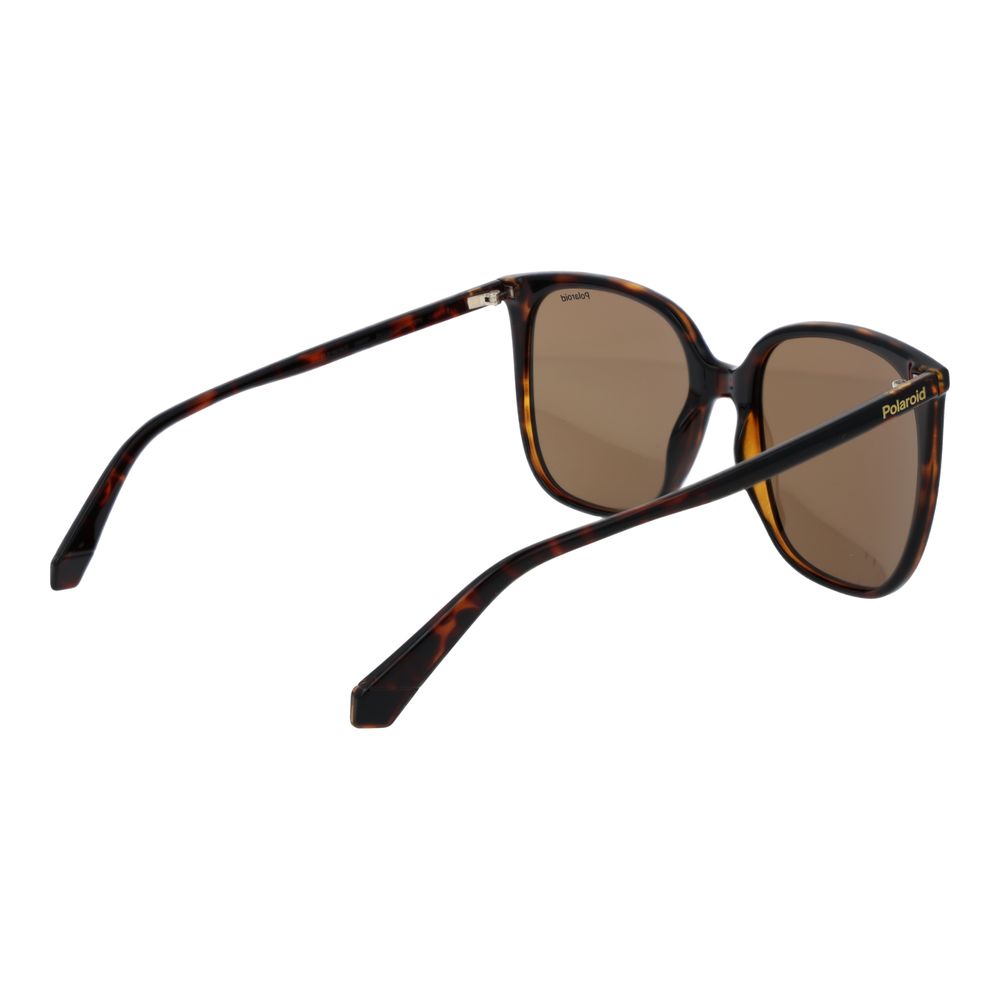 Polaroid Brown Plastic Sunglasses
