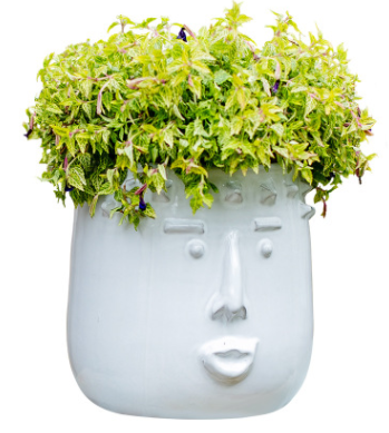 Handcrafted Ceramic Face Vase and Planter
