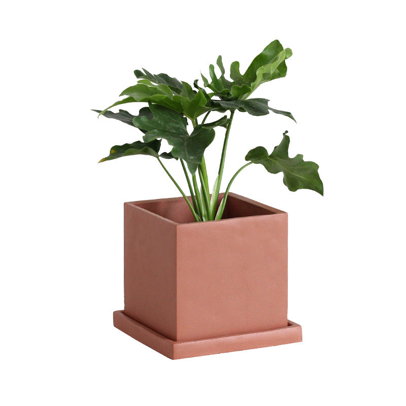 Red Cement Planter with Tray for Indoor Succulents