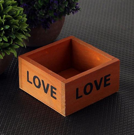 Succulent Planter with Wooden Box and Organizer