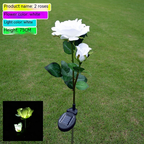 Solar-Powered LED Garden Light