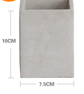 Creative Square Cement Planter for Succulents and Cacti