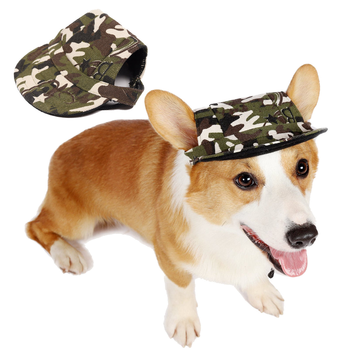 Summer Outdoor Breathable Dog Cap - Pet Accessories