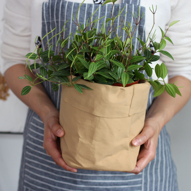 Cement Fabric Bag Planter in Modern Nordic Style