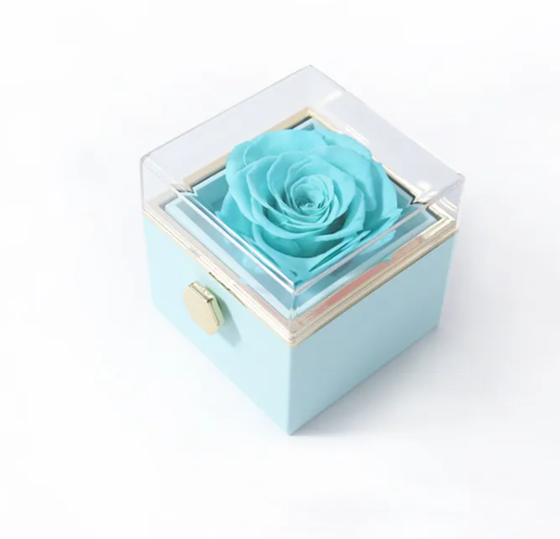 BloomSpin Acrylic Jewelry Organizer