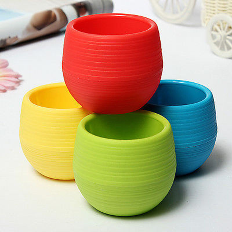 Mini Colorful PP Succulent Planter - Simple Design