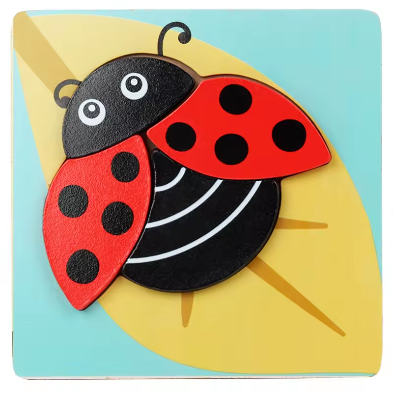 Montessori Wooden Educational Puzzle Board (One Set)