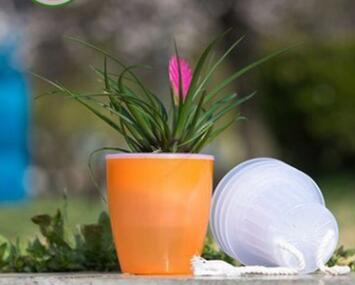 Self-Watering Planter for Green Plants and Succulents