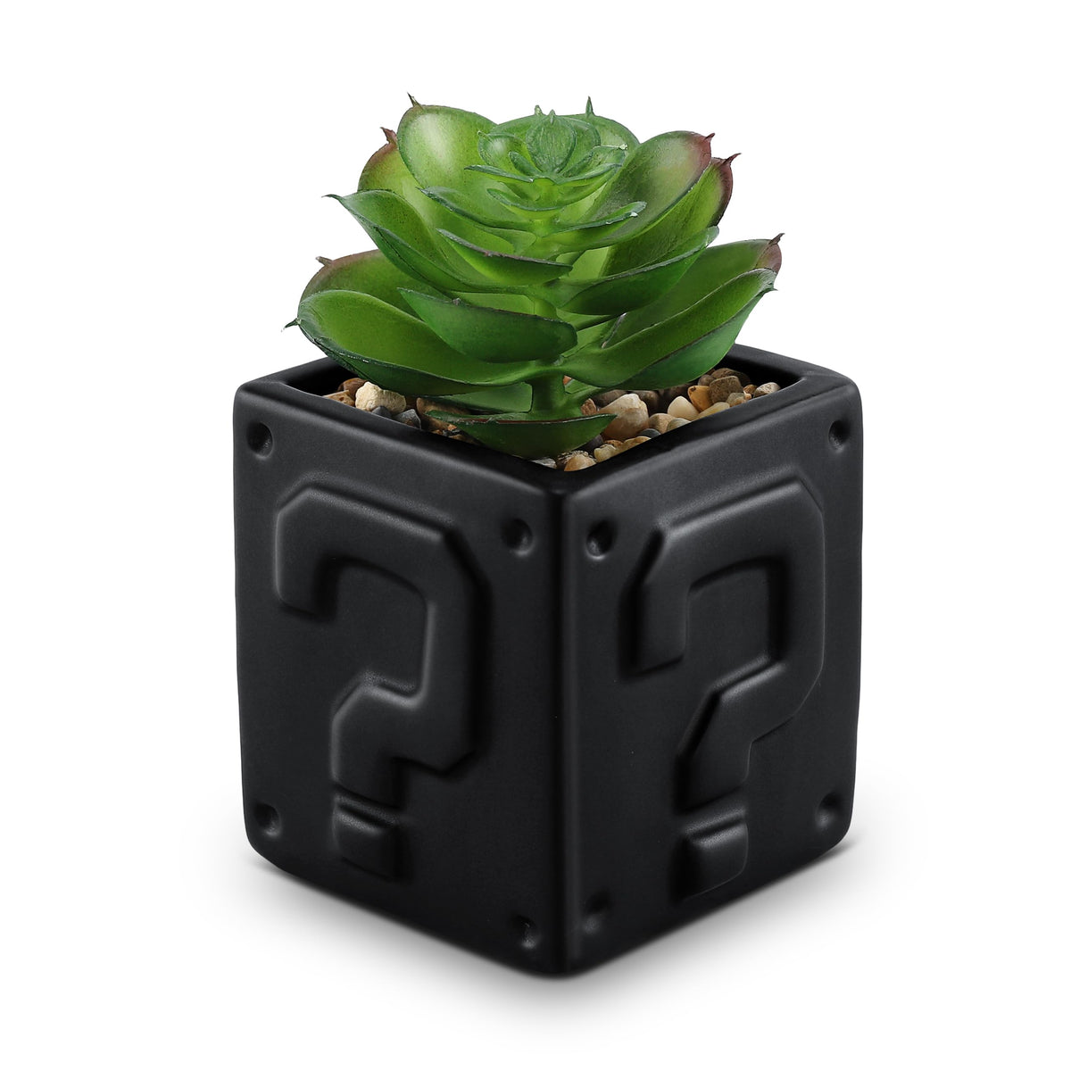 WOODWORD Fake Succulents Plants Artificial with Question Pattern Black Ceramic Pot for Bathroom Bedroom Home Office Desk Shower Decor Aesthetic Indoor - Set of 1