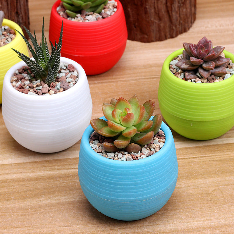 Mini Colorful PP Succulent Planter - Simple Design