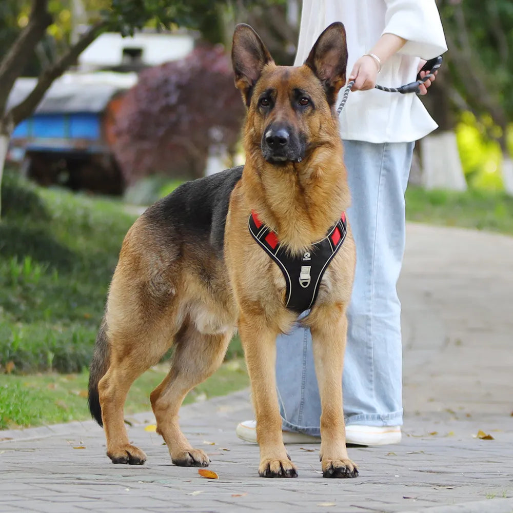 Pet Chest Vest Strap