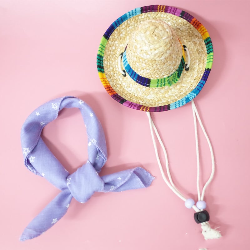 Summer Outing Set for Pet Accessories