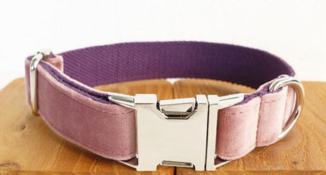 Adjustable Pet Dog Collar