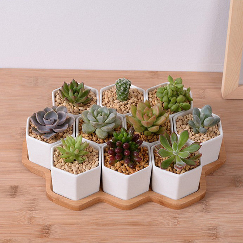 White Ceramic Hexagonal Succulent Planter Set (4 pcs)
