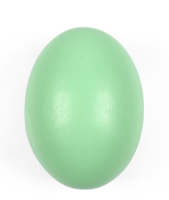 DIY Wooden Craft Blank for Painting Festival Eggs