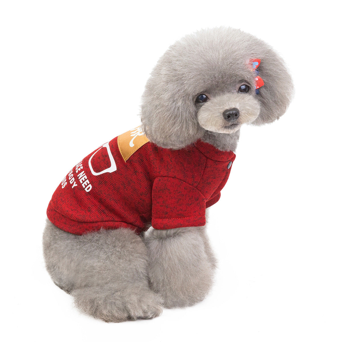 Pet Cat and Dog Apparel - Teddy Sweater and Accessories