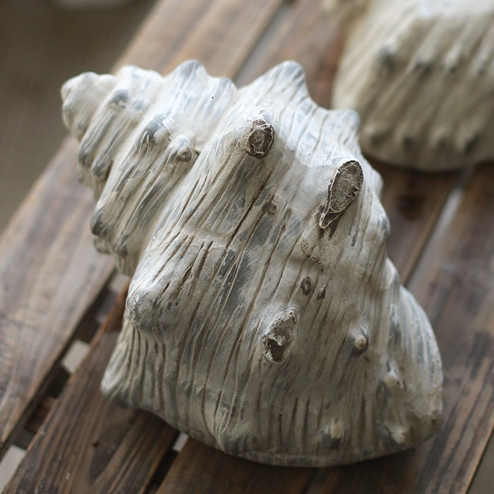 Ceramic Seashell Planter for Garden Decoration