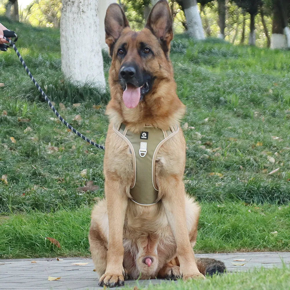 Pet Chest Vest Strap