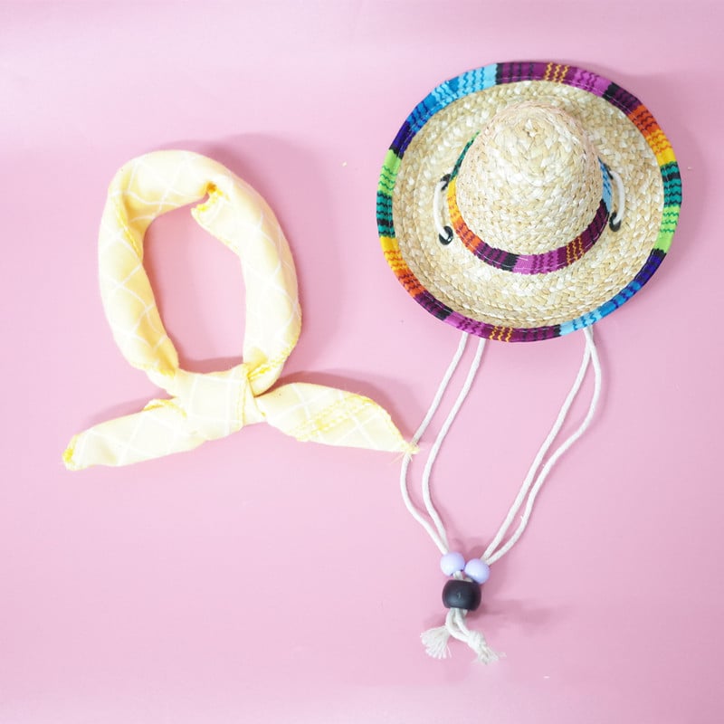Summer Outing Set for Pet Accessories