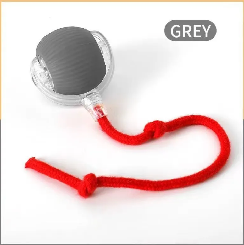 Cat Bite-Resistant Toy Ball