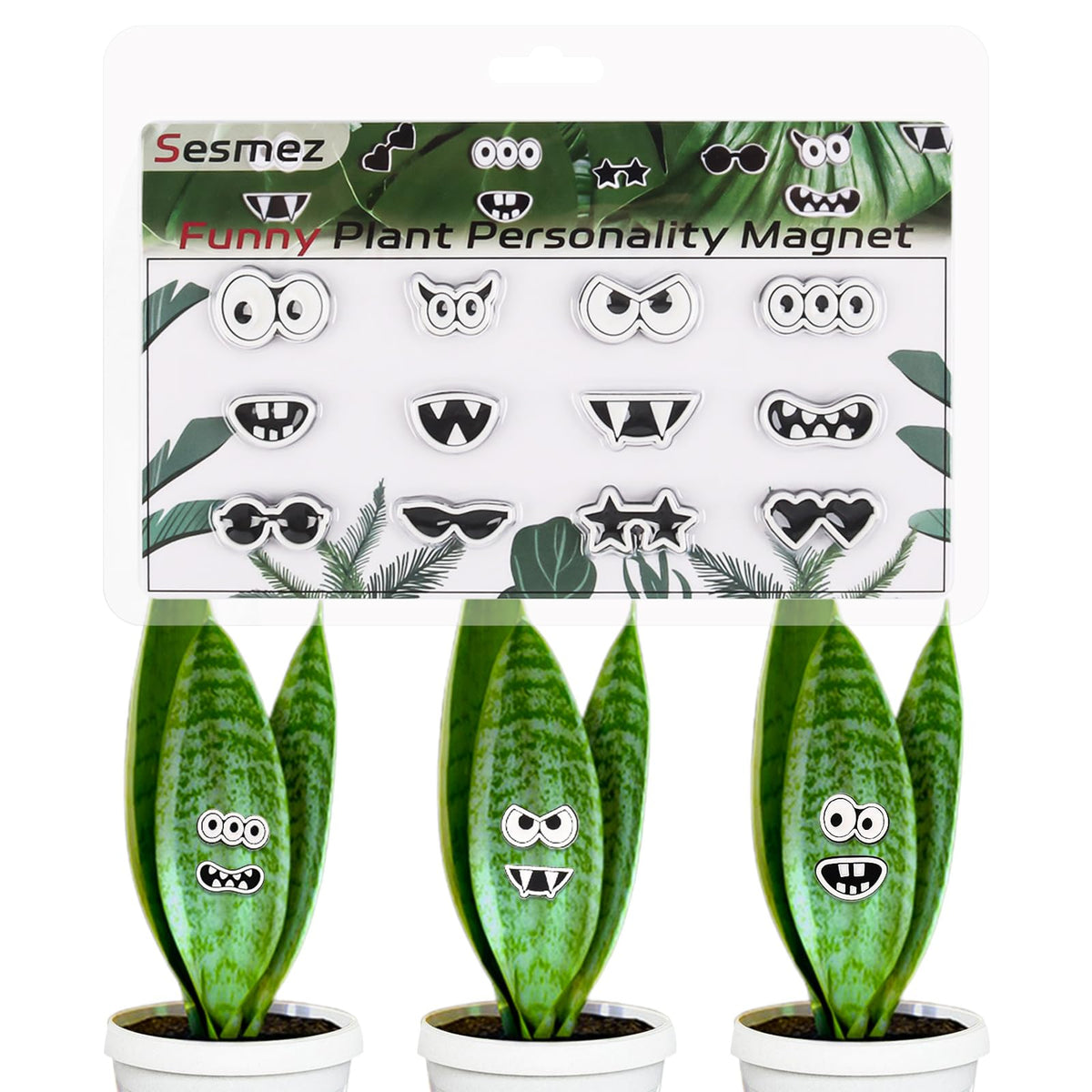 Plant Magnets Eyes for Potted Plants Cute Plant Magnets Pins Charms Funny House Plant Accessories for Plant Lovers Set of 12 Plant Personality Magnets Decor