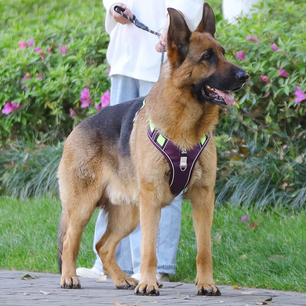 Pet Chest Vest Strap