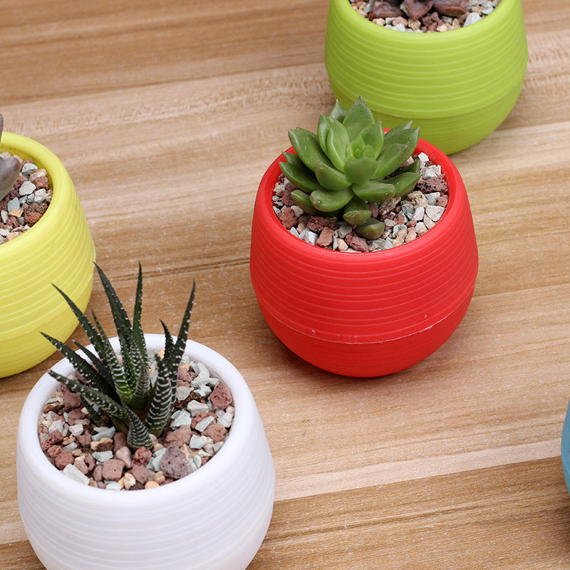 Mini Colorful PP Succulent Planter - Simple Design