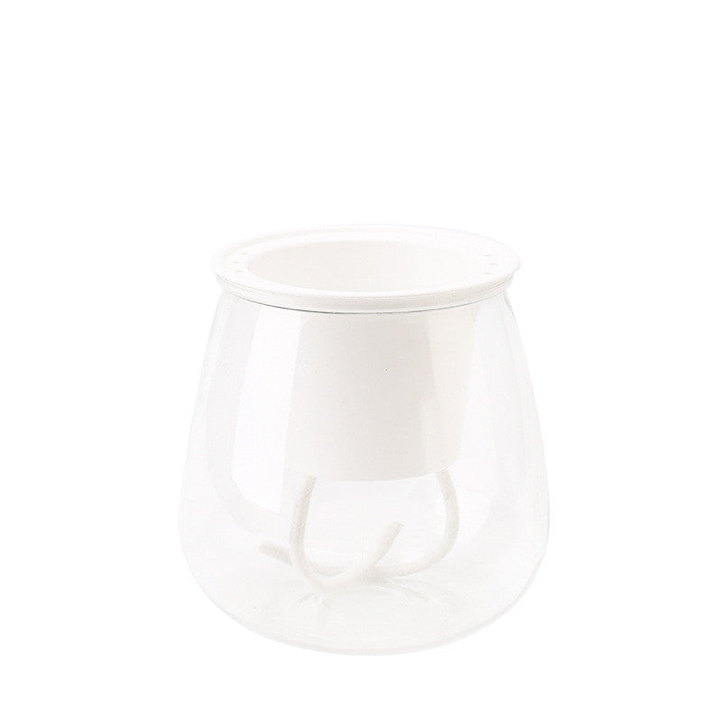 Self-Watering Transparent Plastic Planter for Succulents