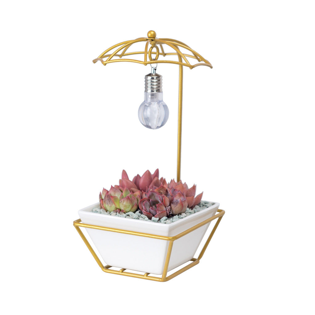 Modern Creative Umbrella Light Bulb Planter Set
