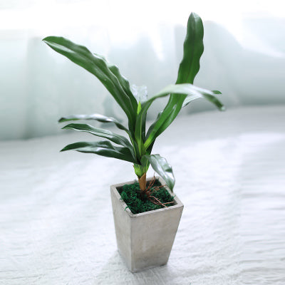 Nordic Faux Potted Plant for Home Decor (Tabletop)