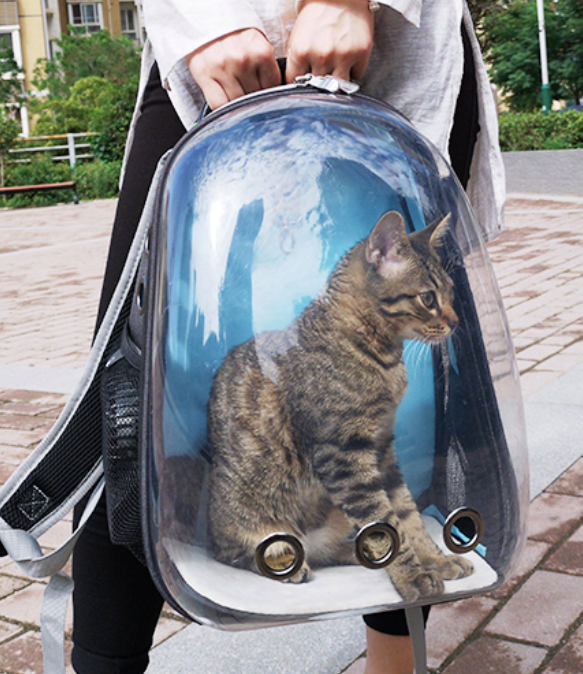 Cat Pet Carrier Bag
