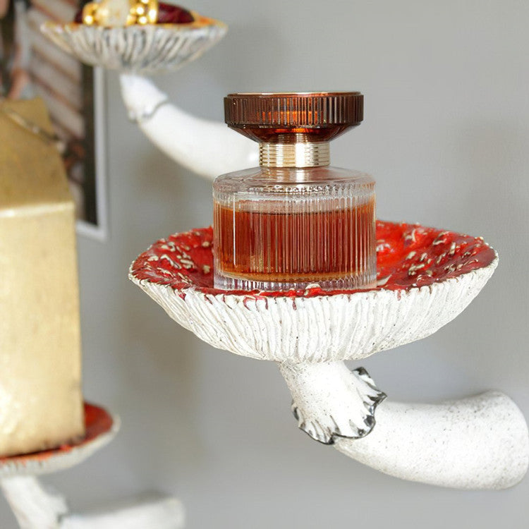 Mushroom Wall Hanging Shelf - Creative Home Organizer