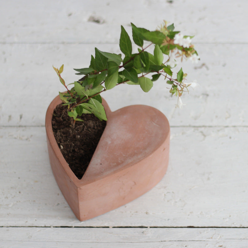 Creative Heart-Shaped Concrete Planter for Succulents