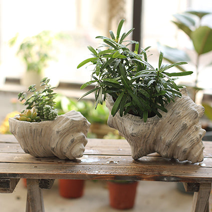 Ceramic Seashell Planter for Garden Decoration