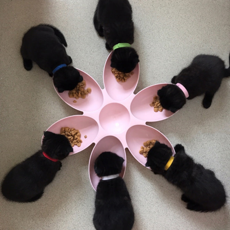 Pet Dinner Plate