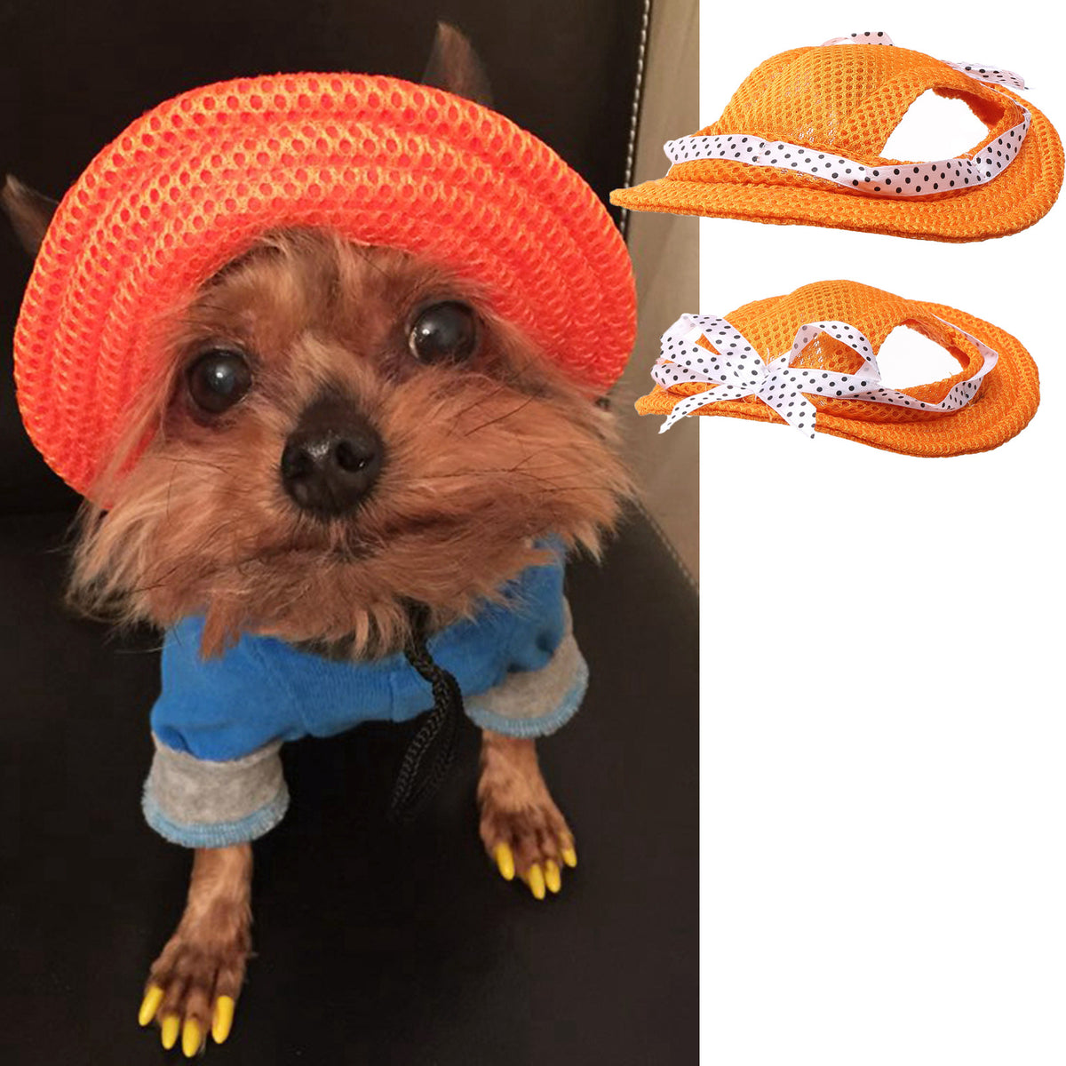 Summer Outdoor Breathable Dog Cap - Pet Accessories