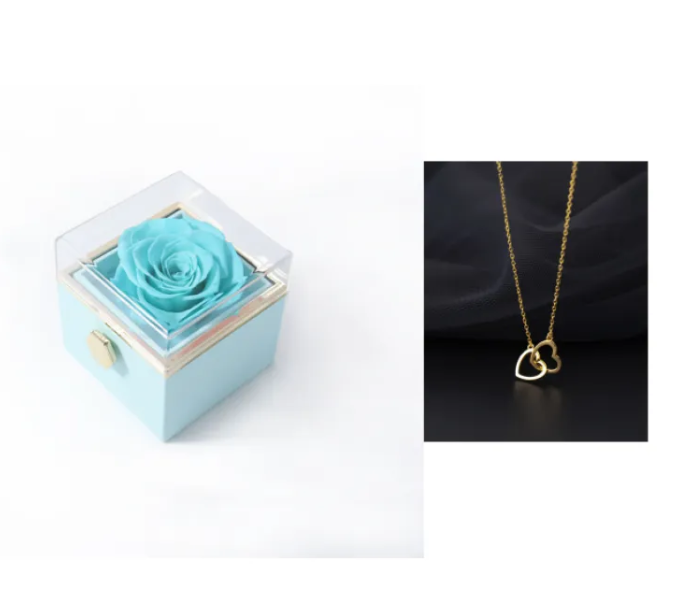 BloomSpin Acrylic Jewelry Organizer