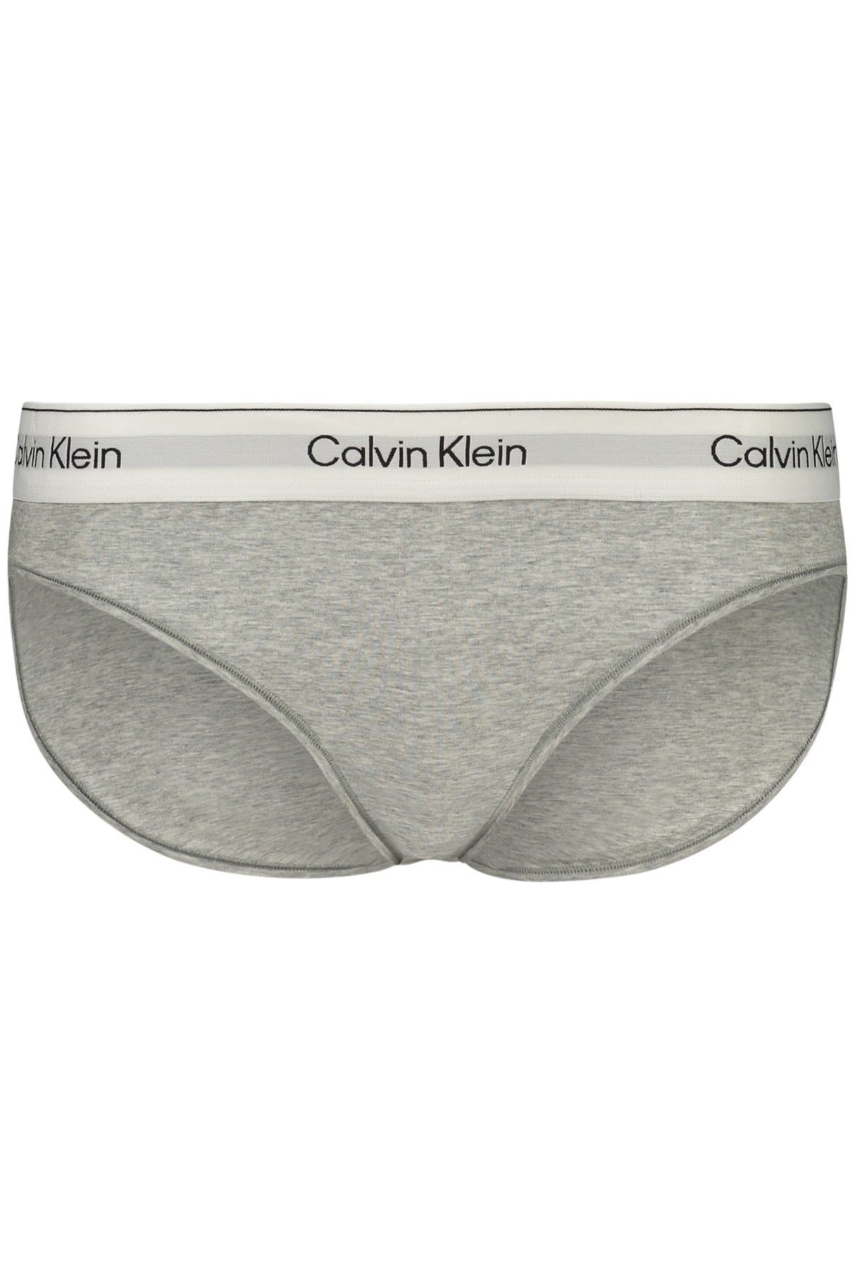 CALVIN KLEIN WOMEN'S BRIEFS GRAY
