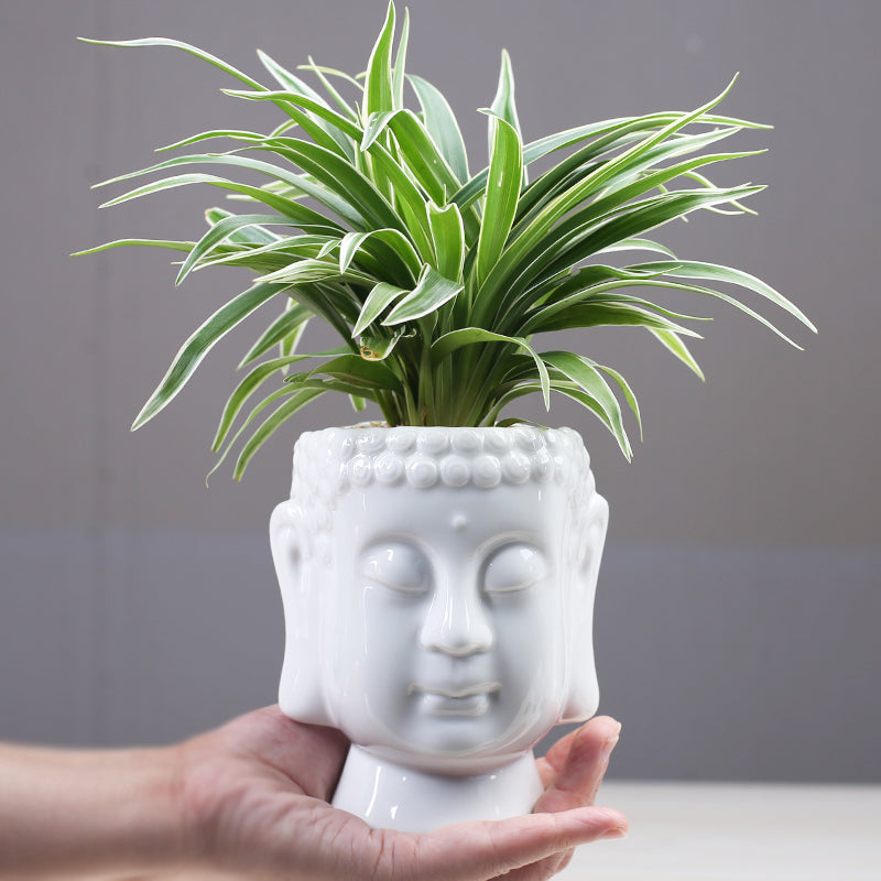 White Ceramic Succulent Planter with Buddha Statue Decor
