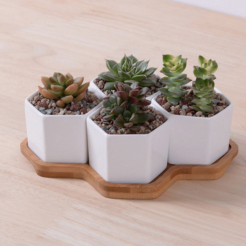 White Ceramic Hexagonal Succulent Planter Set (4 pcs)