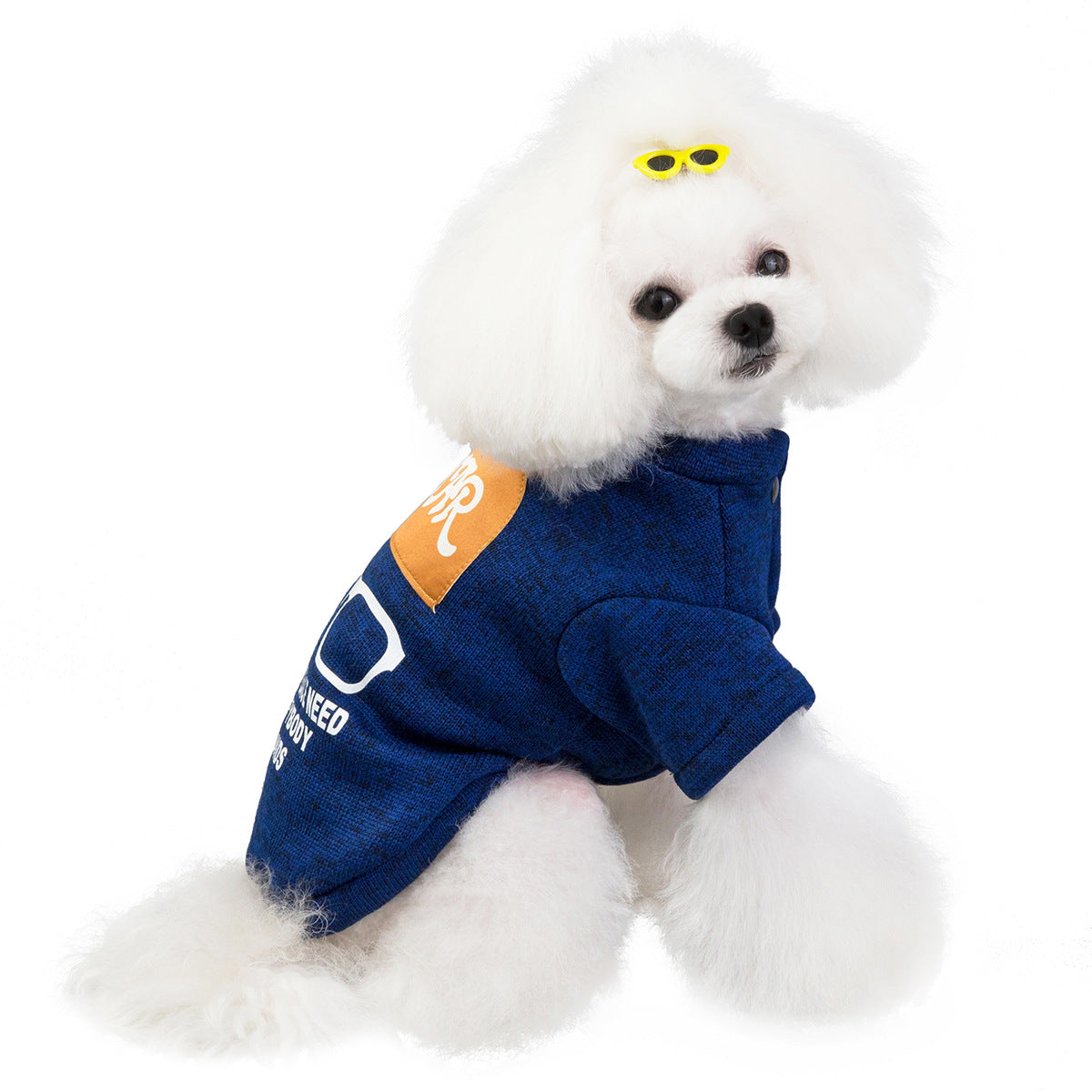 Pet Cat and Dog Apparel - Teddy Sweater and Accessories