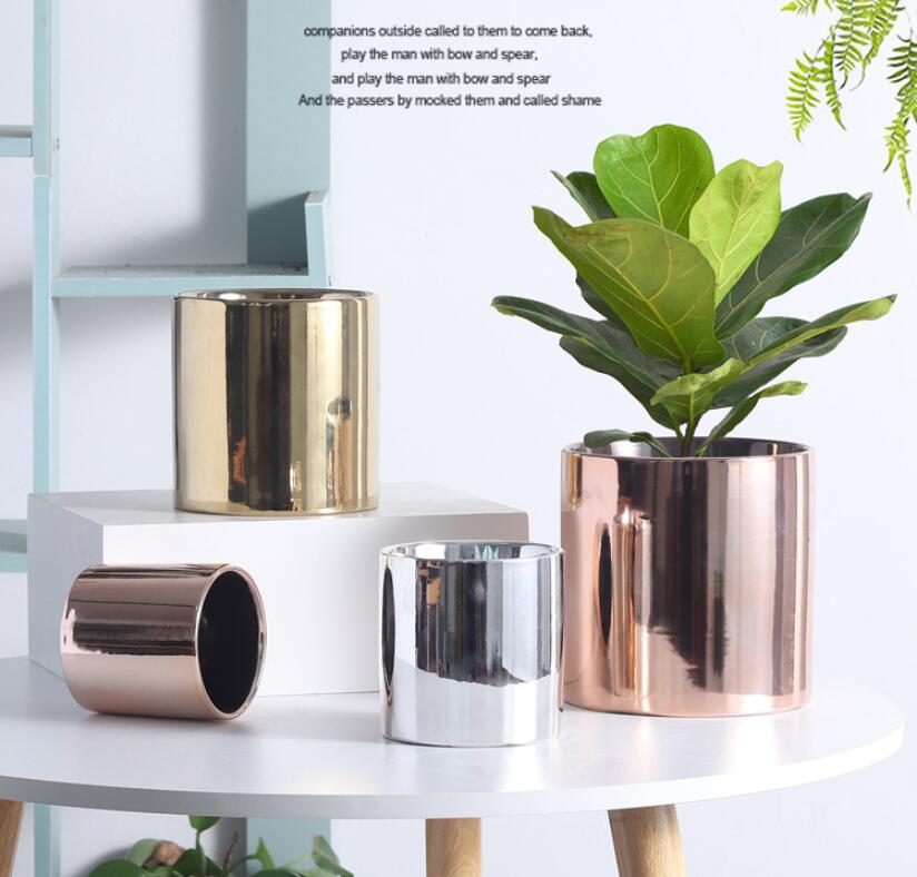 Ceramic Planter Set with Gold Finish for Succulents