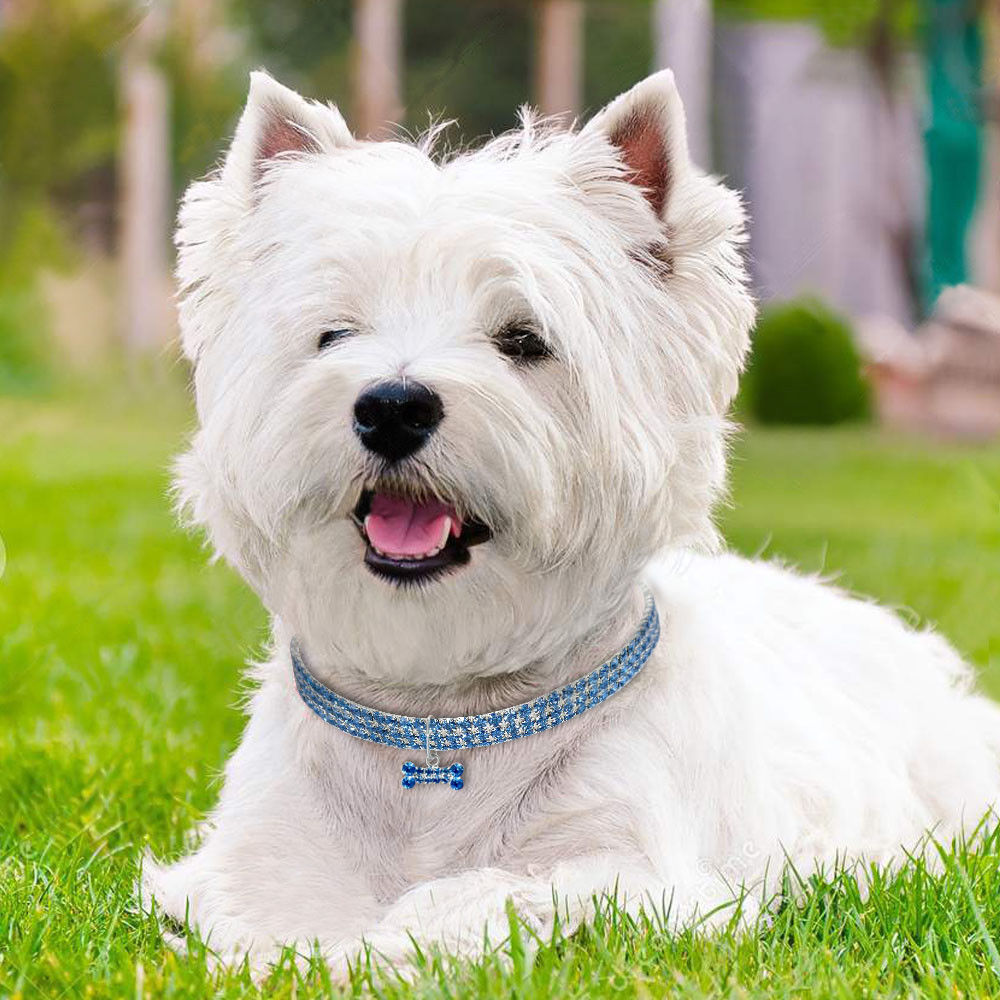Dog Necklace and Pet Accessories with Diamond Collar