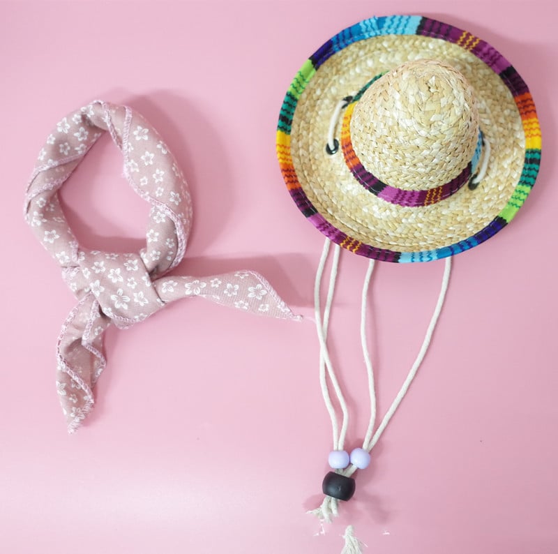 Summer Outing Set for Pet Accessories
